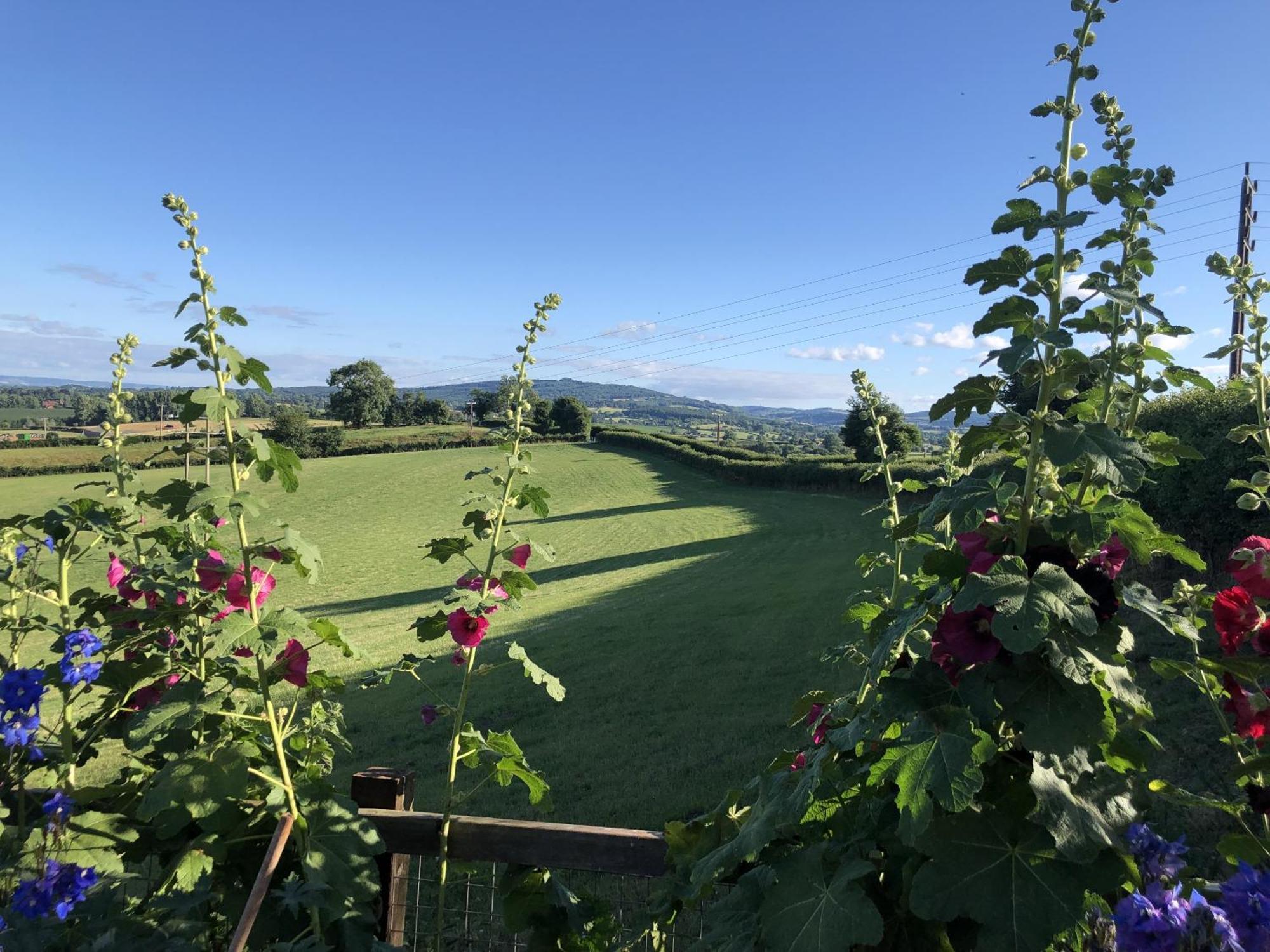 Betula Views Studio Newent Exterior photo