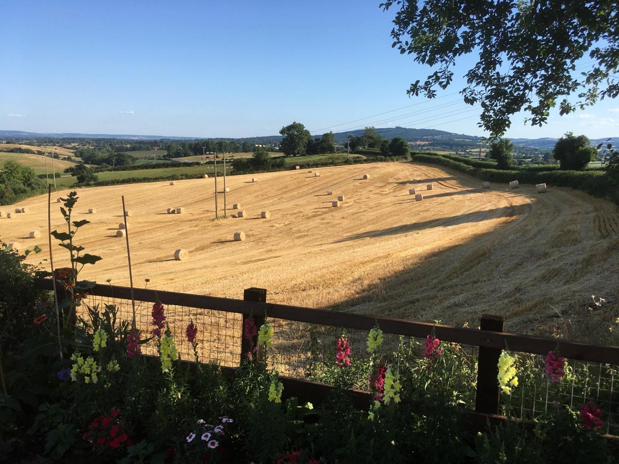 Betula Views Studio Newent Exterior photo