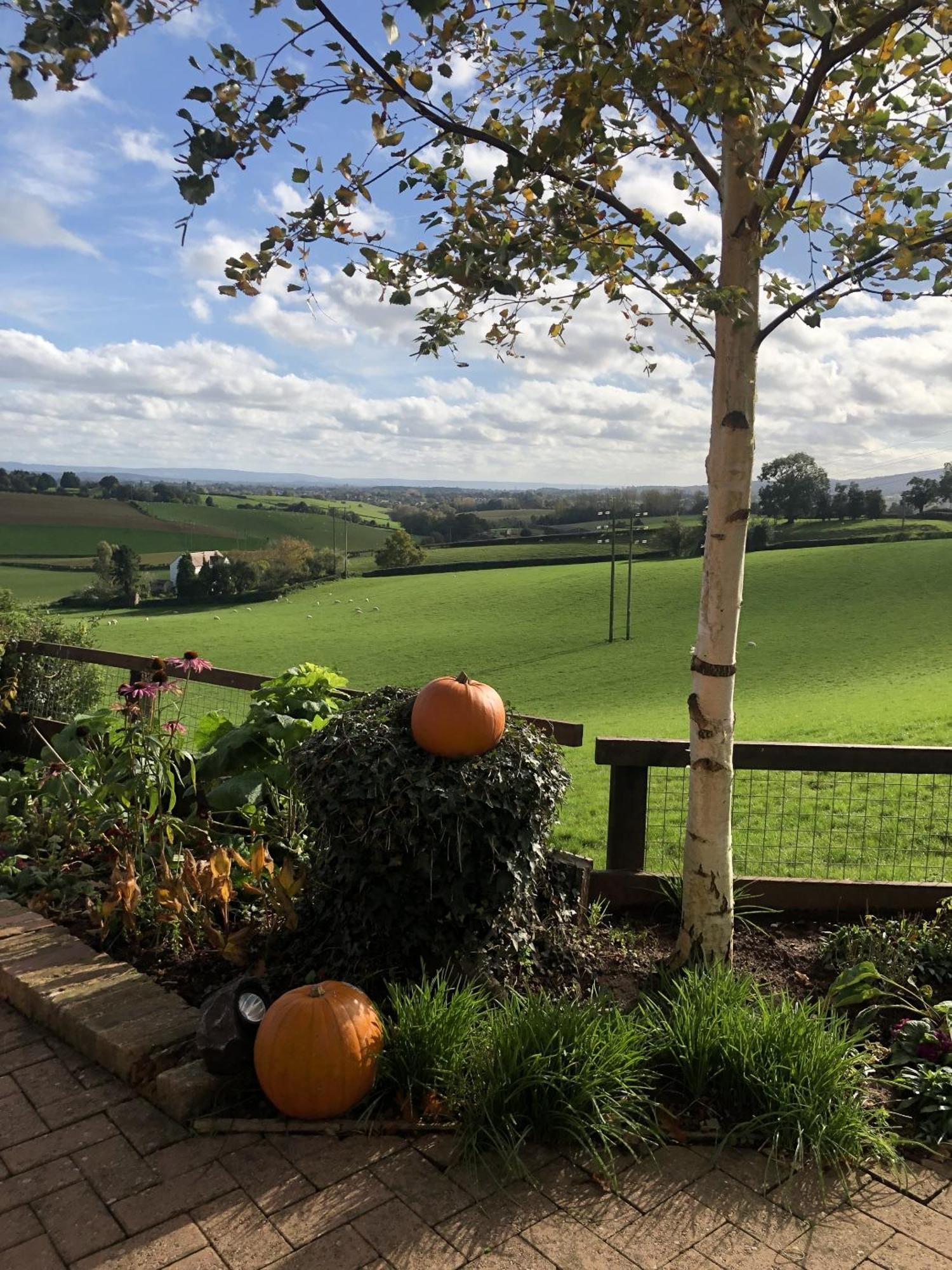 Betula Views Studio Newent Exterior photo